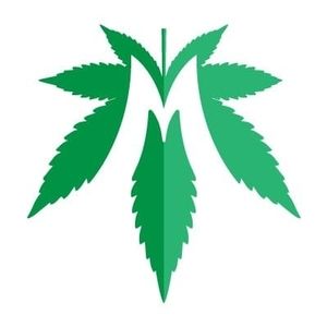 Meet your Posher, Henry